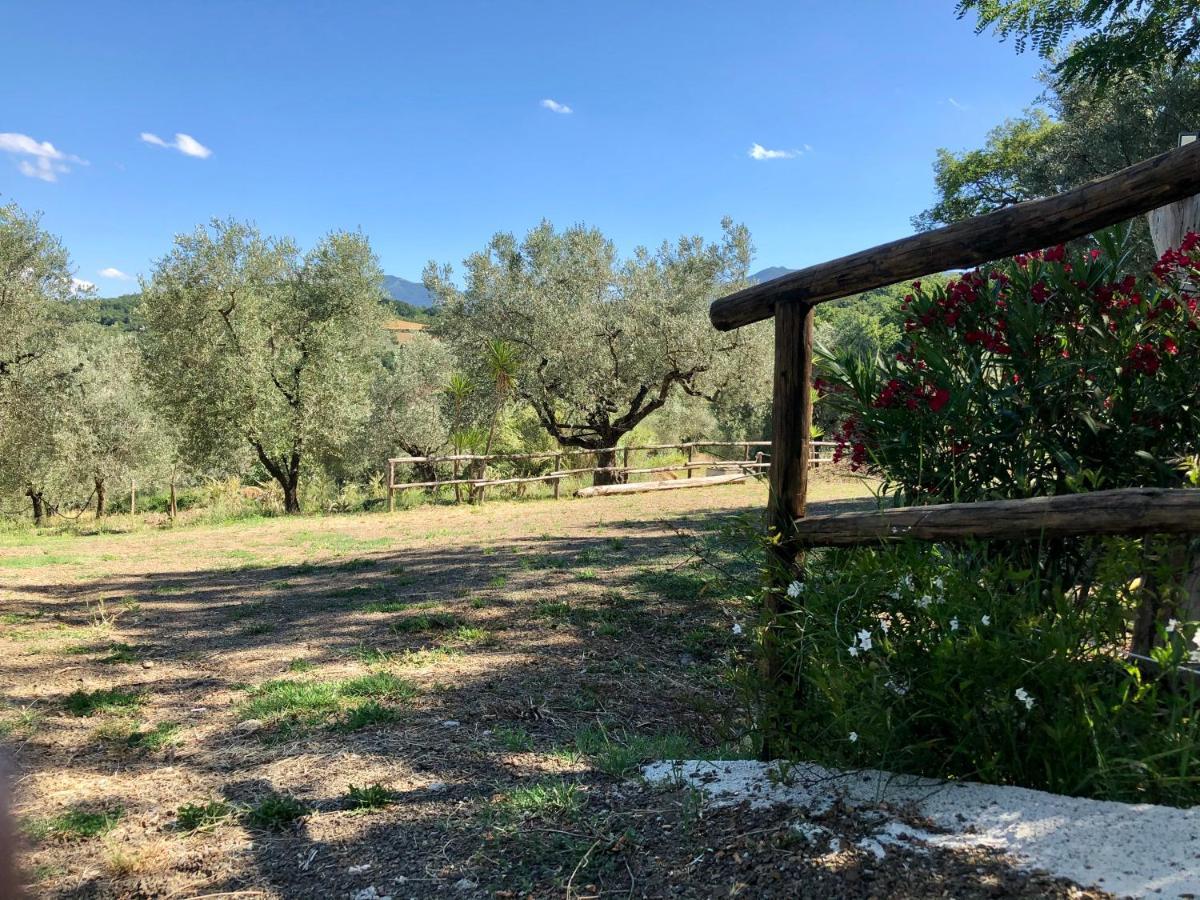 Il Casolare Degli Alburni Villa Castelcivita Exteriör bild
